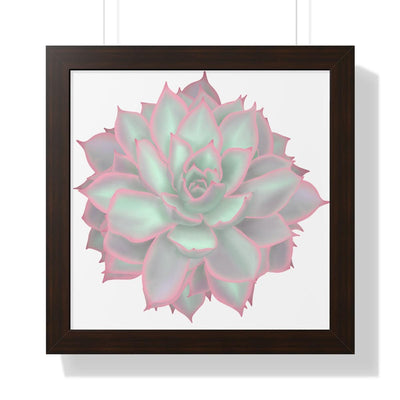 Echeveria Violet Queen Succulent Framed Print, Poster, Laura Christine Photography & Design, Framed, Home & Living, Indoor, Paper, Posters, Laura Christine Photography & Design, laurachristinedesign.com