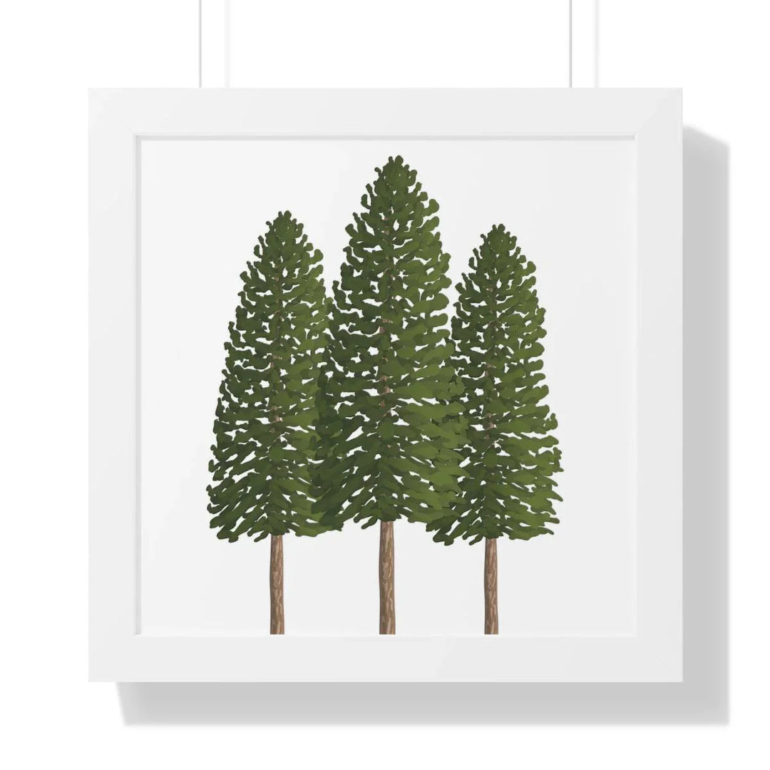 Ponderosa Pine Framed Print, Poster, Laura Christine Photography & Design, Framed, Home & Living, Indoor, Paper, Posters, Laura Christine Photography & Design, laurachristinedesign.com