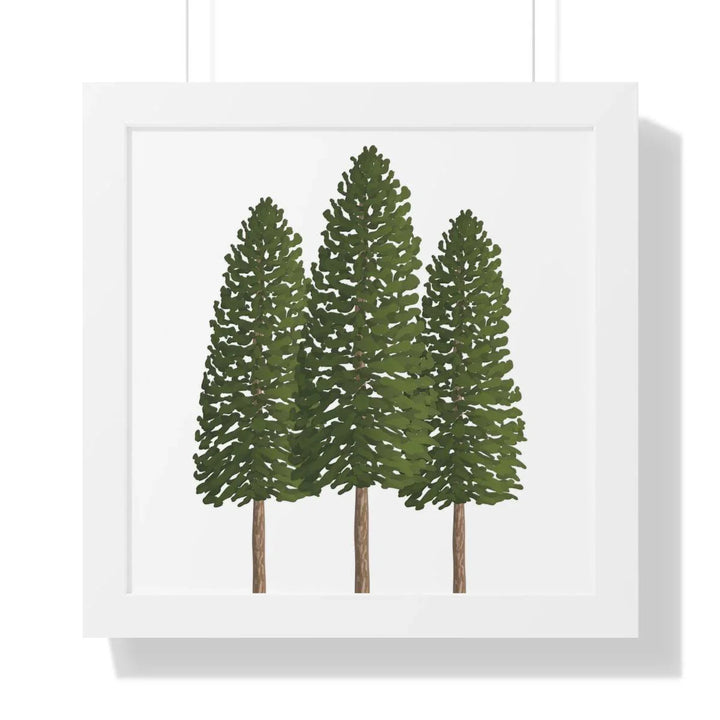 Ponderosa Pine Framed Print, Poster, Laura Christine Photography & Design, Framed, Home & Living, Indoor, Paper, Posters, Laura Christine Photography & Design, laurachristinedesign.com
