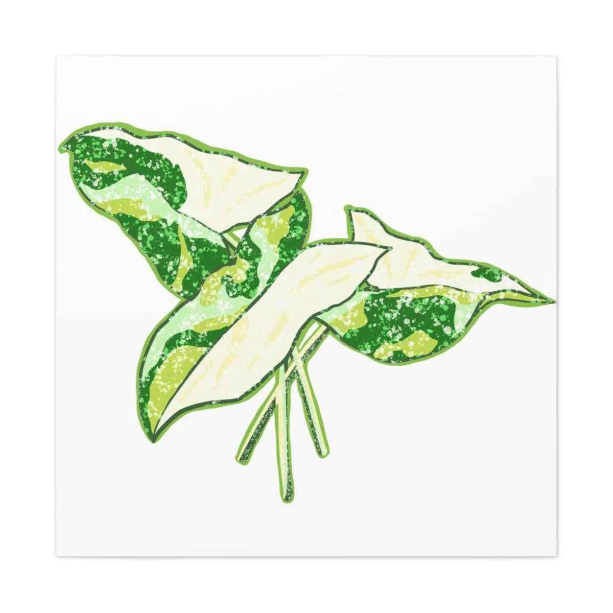 Marble Syngonium Canvas - Botanical Canvas Art Print | Durable Cotton Matte Finish