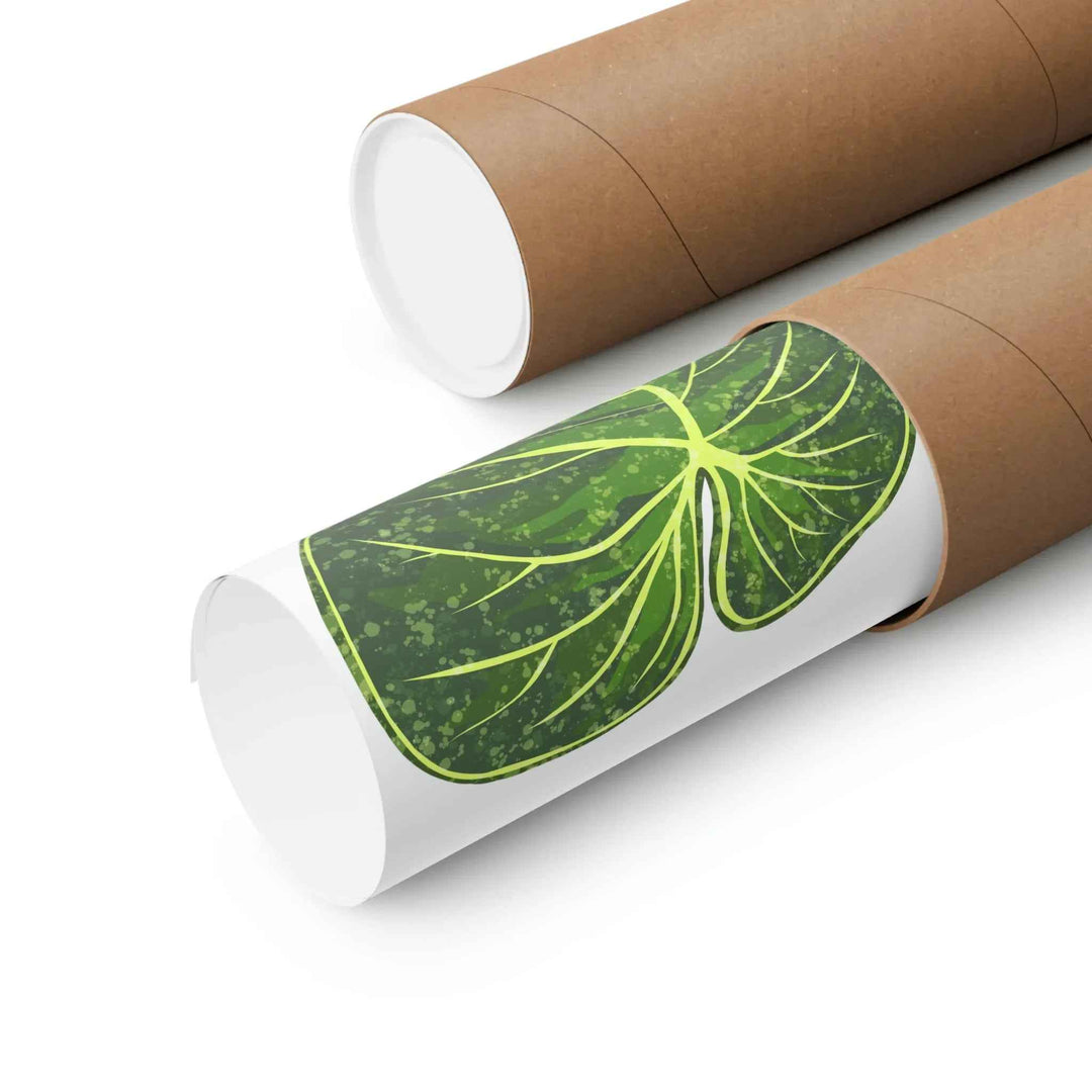 Philodendron Gloriosum Print Botanical Wall Art – Tropical Leaf Poster on Museum-Grade Paper Unframed