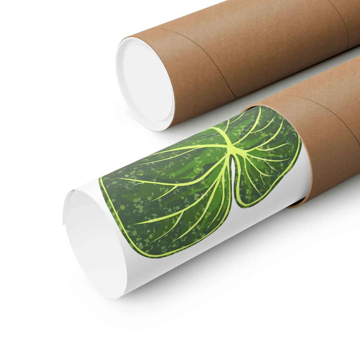 Philodendron Gloriosum Print Botanical Wall Art – Tropical Leaf Poster on Museum-Grade Paper Unframed