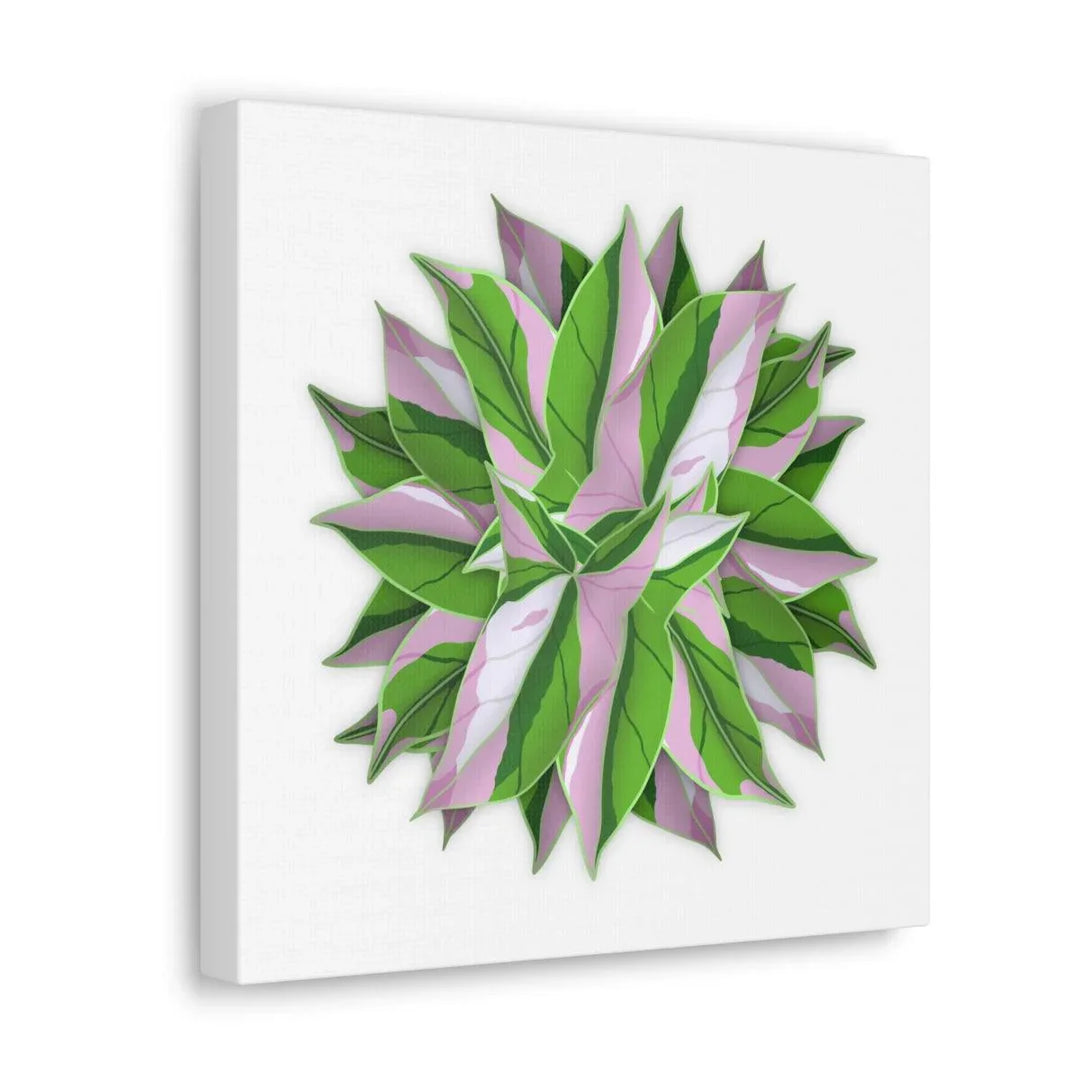 Tricolor Syngonium Canvas - Durable Canvas Art Print With Matte Finish & Botanical Design - Laura Christine Photography & Design