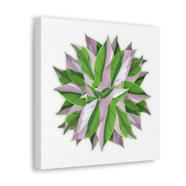 Tricolor Syngonium Canvas - Durable Canvas Art Print With Matte Finish & Botanical Design - Laura Christine Photography & Design