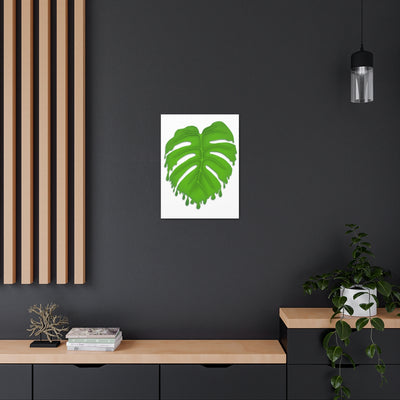 Melting Monstera Canvas