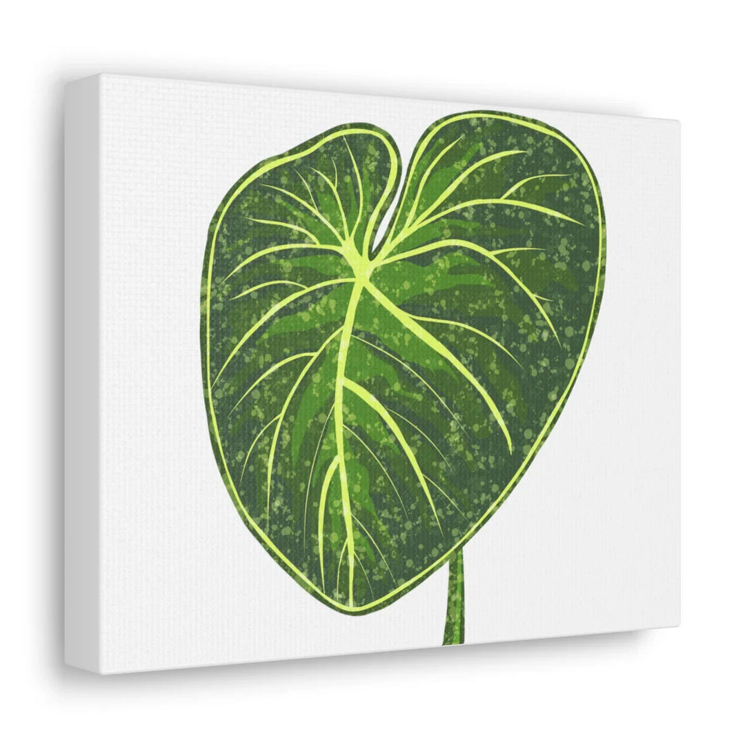 Philodendron Gloriosum Canvas - Stretched Canvas Art Print | Matte Indoor Wall Art - Laura Christine Photography & Design