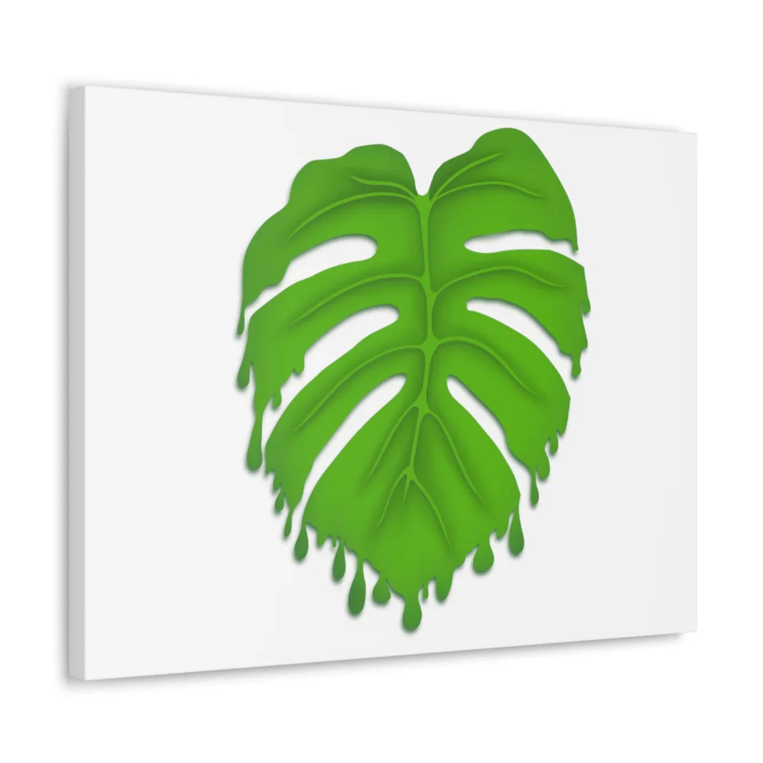 Melting Monstera Canvas | Large Botanical Canvas Art Print With Matte Finish