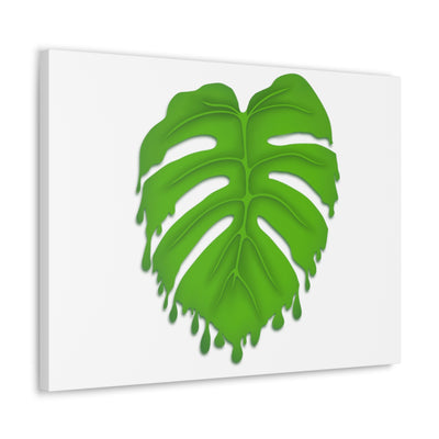 Melting Monstera Canvas