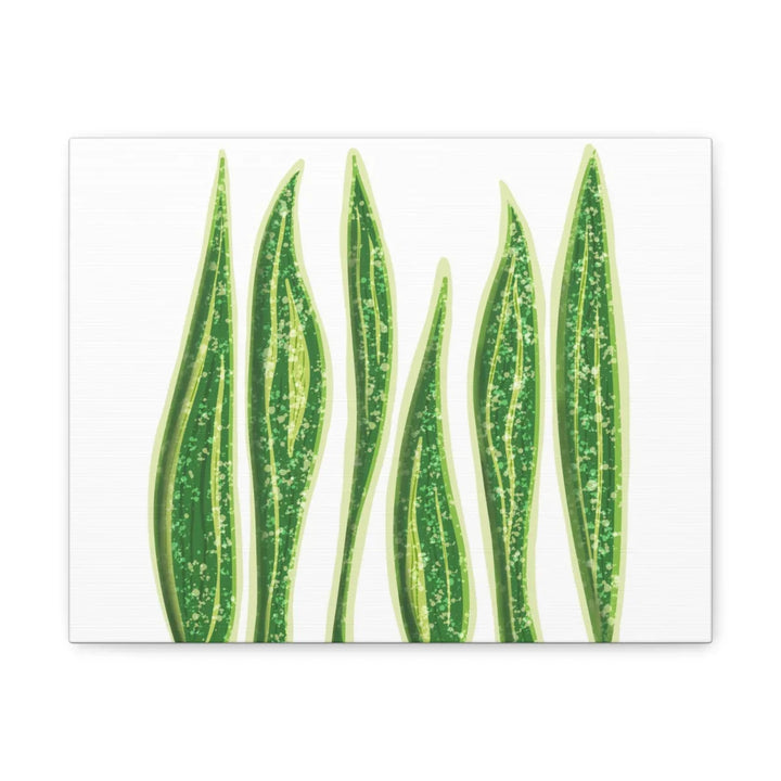 Snake Plant Canvas | Botanical Canvas Decor - Matte Finish Artwork for Living Room - Laura Christine Photography & Design