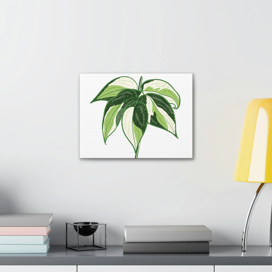 Philodendron Canvas Print - Cream Splash Variegated Plant Art on Matte Cotton Canvas