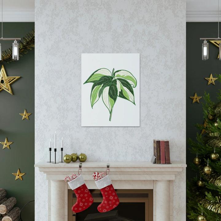 Philodendron Canvas Print - Cream Splash Variegated Plant Art on Matte Cotton Canvas