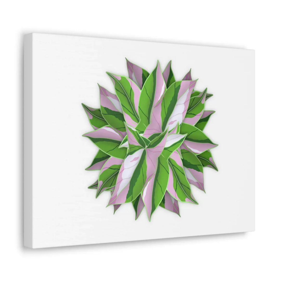 Tricolor Syngonium Canvas - Durable Canvas Art Print With Matte Finish & Botanical Design - Laura Christine Photography & Design