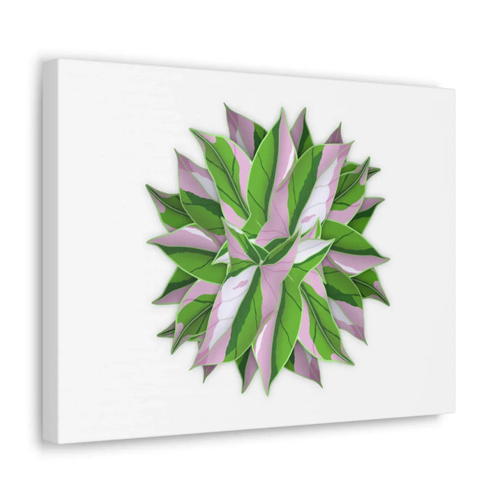 Tricolor Syngonium Canvas - Durable Canvas Art Print With Matte Finish & Botanical Design - Laura Christine Photography & Design
