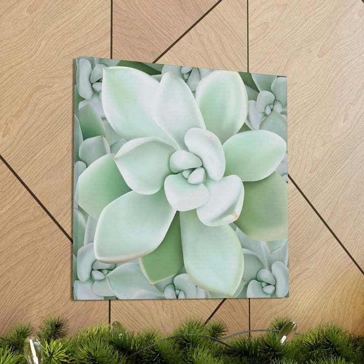 Pachyveria Haagei Succulent Pattern Canvas, Canvas, Printify, Art & Wall Decor, Canvas, Hanging Hardware, Home & Living, Indoor, Laura Christine Photography & Design, laurachristinedesign.com