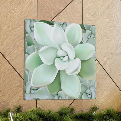 Pachyveria Haagei Succulent Pattern Canvas, Canvas, Printify, Art & Wall Decor, Canvas, Hanging Hardware, Home & Living, Indoor, Laura Christine Photography & Design, laurachristinedesign.com