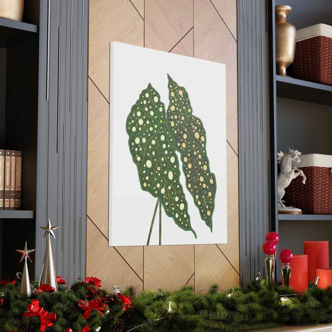Begonia Maculata Canvas | Premium Canvas Art Print - Matte Finish, Durable Wall Decor