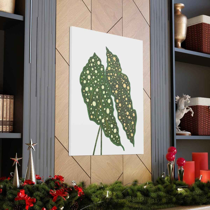 Begonia Maculata Canvas | Premium Canvas Art Print - Matte Finish, Durable Wall Decor