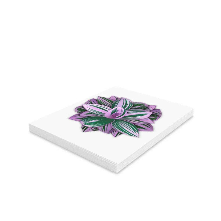 Tradescantia Nanouk Card – Floral Greeting Card with Colorful Variegated Foliage