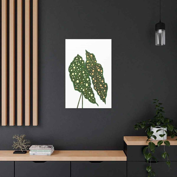 Begonia Maculata Canvas | Premium Canvas Art Print - Matte Finish, Durable Wall Decor