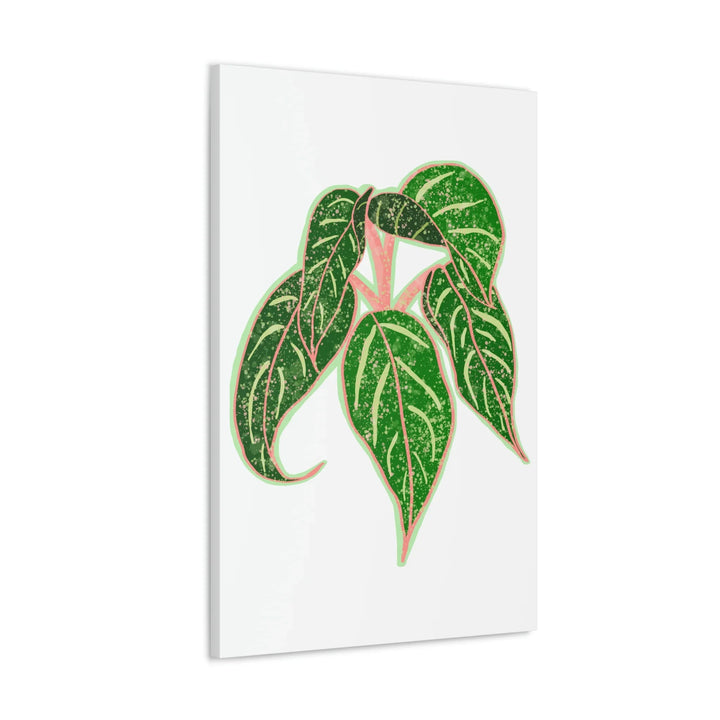 Aglaonema Plant Canvas | Sparkling Plant Artwork - Colorfast Canvas Art Print Decor