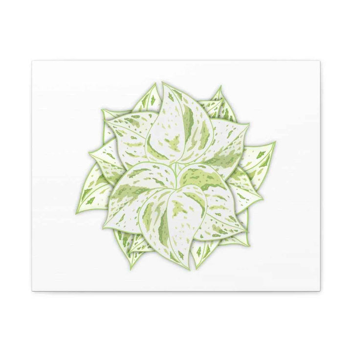 Snow Queen Pothos Canvas – Variegated Leaf Canvas Art Print | Durable Cotton