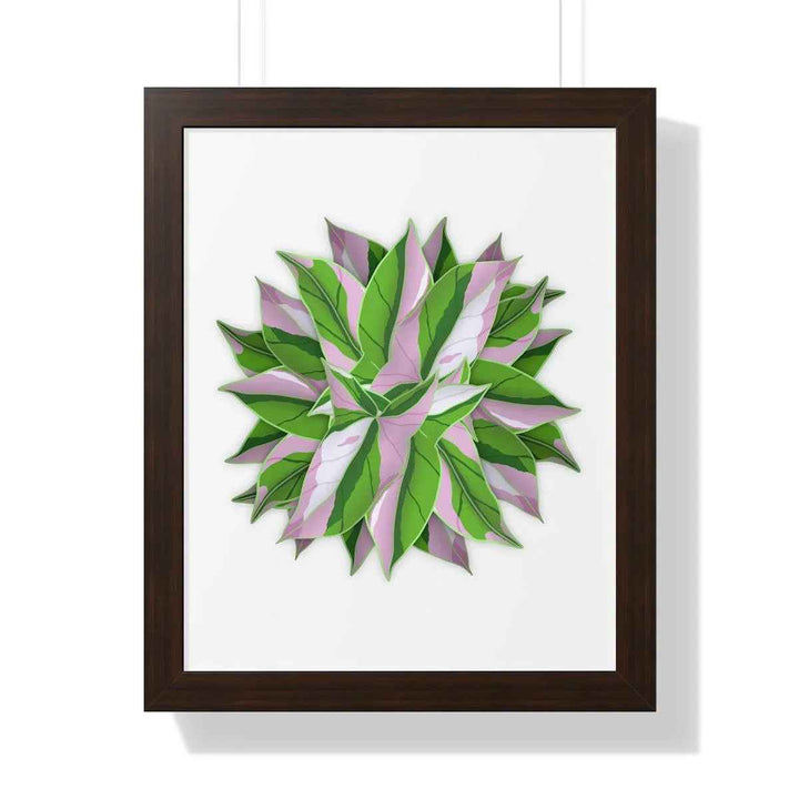 Syngonium Tricolor Print - Framed Botanical Art With Matte Finish & Acrylic Cover