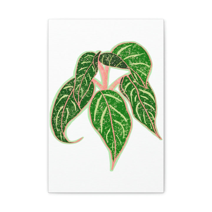 Aglaonema Plant Canvas | Sparkling Plant Artwork - Colorfast Canvas Art Print Decor