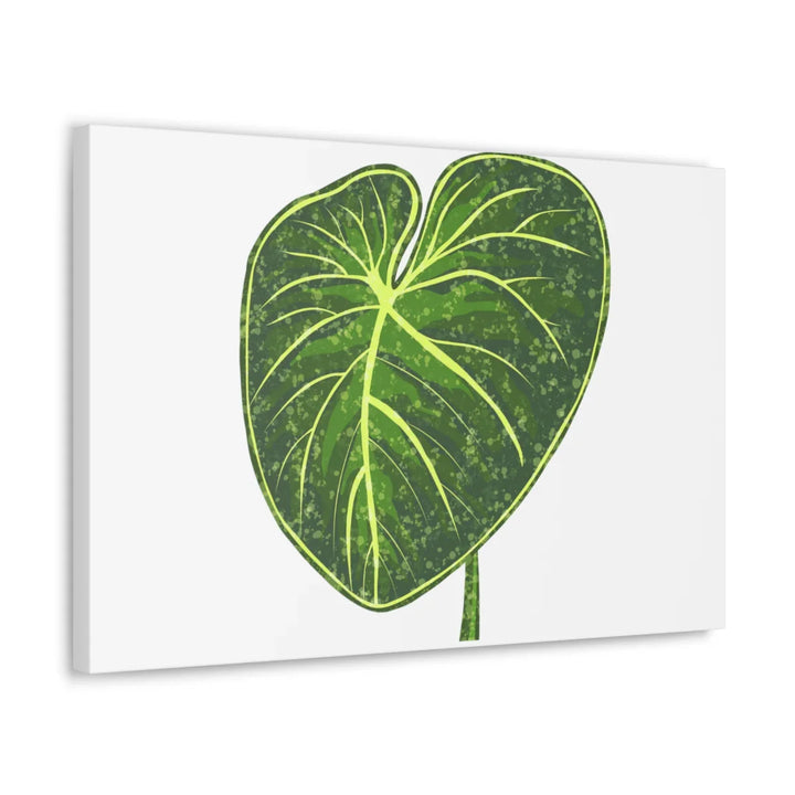 Philodendron Gloriosum Canvas - Stretched Canvas Art Print | Matte Indoor Wall Art - Laura Christine Photography & Design