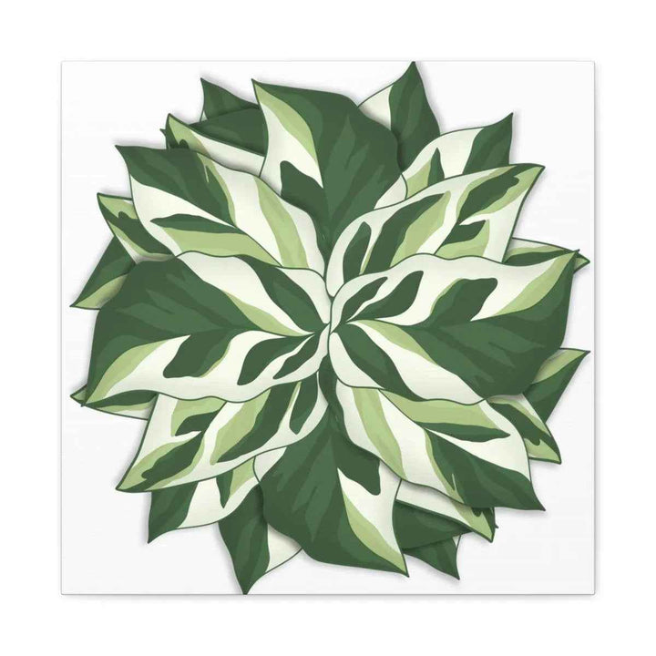 Calathea White Fusion Canvas | Indoor Wall Art - Matte Finish Botanical Canvas Art Print