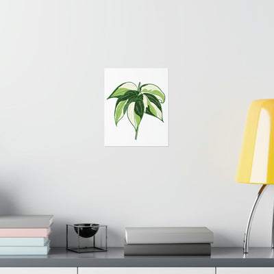 Philodendron 'Cream Splash' Print, Poster, Printify, Back to School, Home & Living, Indoor, Matte, Paper, Posters, Valentine's Day promotion, Laura Christine Photography & Design, laurachristinedesign.com