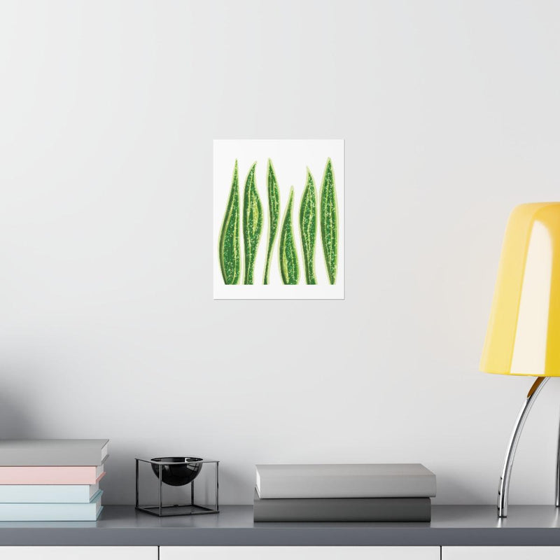 Snake Plant Print, Poster, Laura Christine Photography & Design, Back to School, Home & Living, Indoor, Matte, Paper, Posters, Valentine&