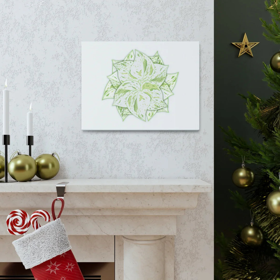 Snow Queen Pothos Canvas – Variegated Leaf Canvas Art Print | Durable Cotton - Laura Christine Photography & Design