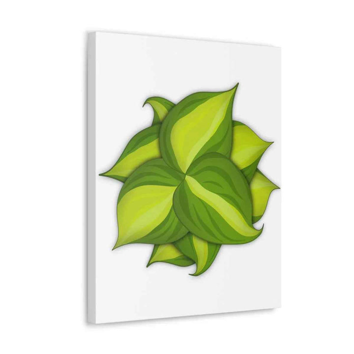 Philodendron Brasil Canvas - Botanical Canvas Art Print With Matte Finish & Durable Hanging