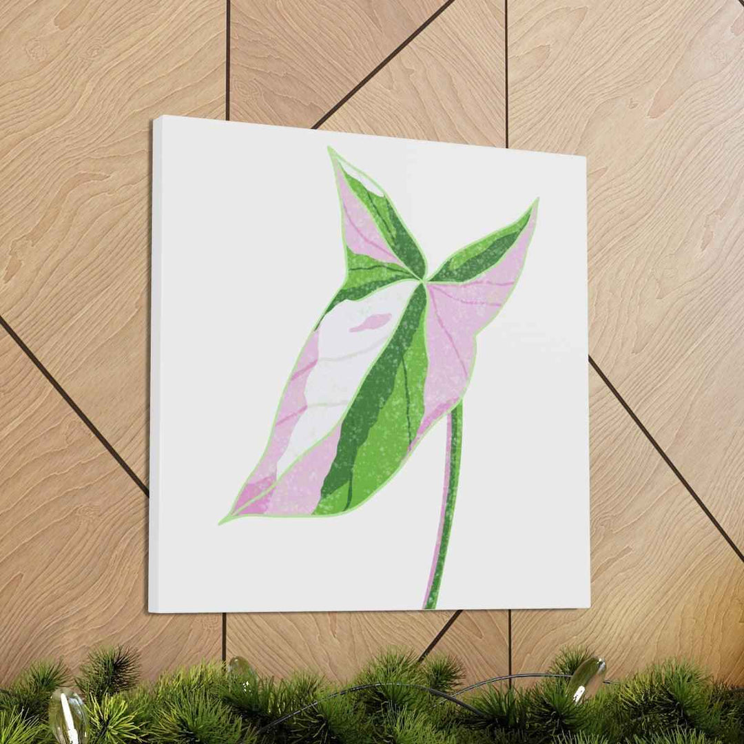 Syngonium Tricolor Canvas | Botanical Canvas Art Print With Matte Finish