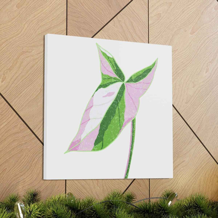 Syngonium Tricolor Canvas | Botanical Canvas Art Print With Matte Finish