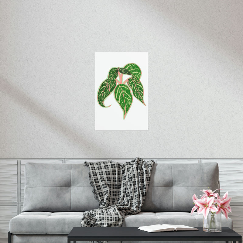 Aglaonema Sparkling Sarah Print