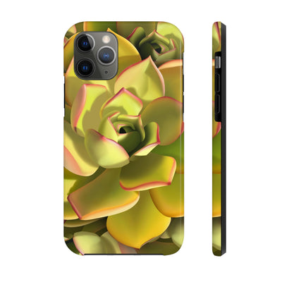 Noble Aeonium Succulent Phone Case, Phone Case, Printify, Accessories, Glossy, iPhone Cases, Matte, Phone accessory, Phone Cases, Samsung Cases, Laura Christine Photography & Design, laurachristinedesign.com