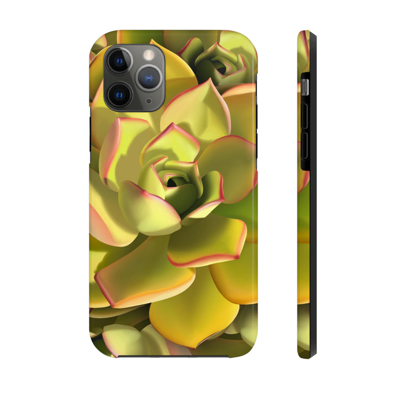 Noble Aeonium Succulent Phone Case, Phone Case, Printify, Accessories, Glossy, iPhone Cases, Matte, Phone accessory, Phone Cases, Samsung Cases, Laura Christine Photography & Design, laurachristinedesign.com