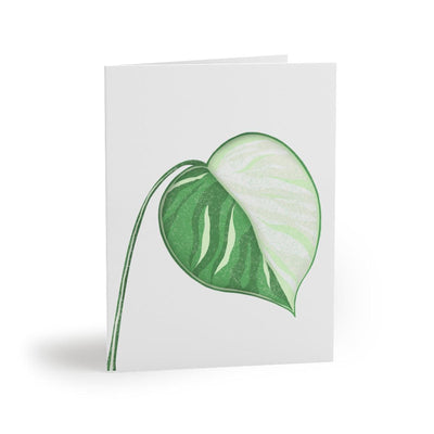 Monstera Albo - Greeting Card, Paper products, Laura Christine Photography & Design, Greeting Card, Holiday Picks, Home & Living, Paper, Postcard, Postcards, Laura Christine Photography & Design, laurachristinedesign.com