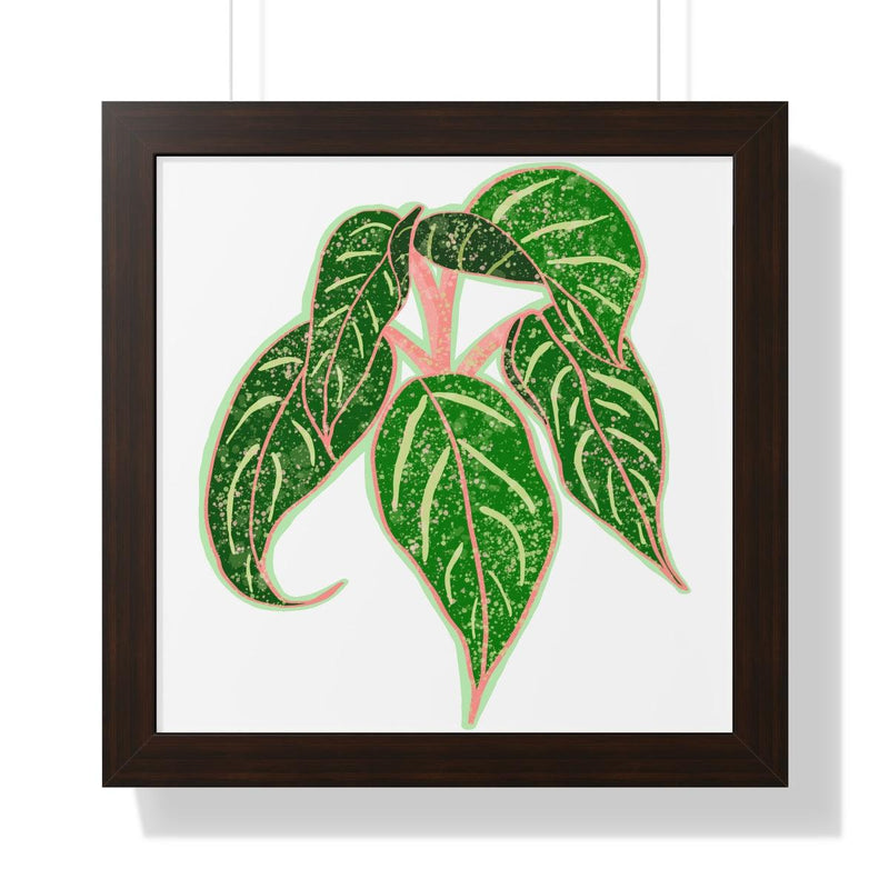 Sparkling Sarah Agalonema (Chinese Evergreen) Framed Print, Poster, Laura Christine Photography & Design, Aglaonema, Bottle, Canvas Bag, Chinese Evergreen, Coffee, Drinkware, Framed, Home & Living, Indoor, Paper, Posters, Reusable, Shopping Bag, Sparklng Sarah, Tea, Tote Bag, Travel, Tumbler, Water, Laura Christine Photography & Design, laurachristinedesign.com