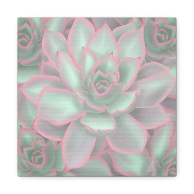 Echeveria Violet Queen Succulent Canvas, Canvas, Laura Christine Photography & Design, Art & Wall Decor, Canvas, Hanging Hardware, Home & Living, Indoor, Laura Christine Photography & Design, laurachristinedesign.com