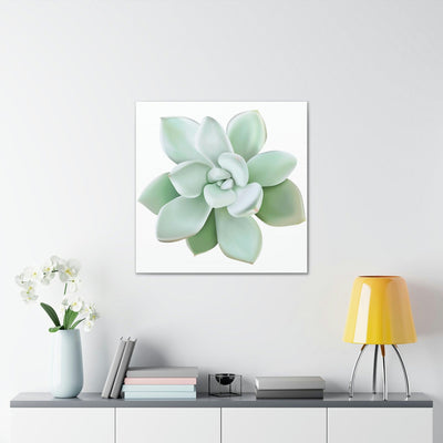 Pachyveria Haagei Succulent Canvas, Canvas, Printify, Art & Wall Decor, Canvas, Hanging Hardware, Home & Living, Indoor, Laura Christine Photography & Design, laurachristinedesign.com