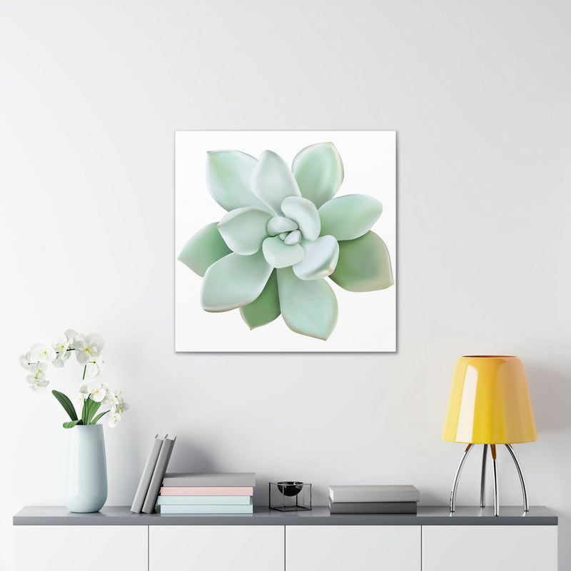 Pachyveria Haagei Succulent Canvas, Canvas, Printify, Art & Wall Decor, Canvas, Hanging Hardware, Home & Living, Indoor, Laura Christine Photography & Design, laurachristinedesign.com