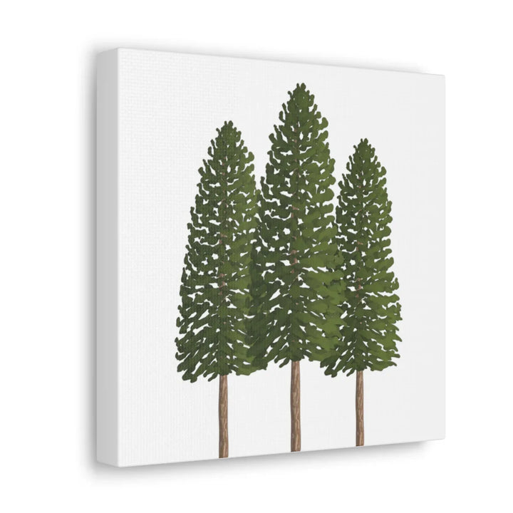 Ponderosa Pine Canvas - Large Stretched Cotton Canvas Art Print With Matte Finish