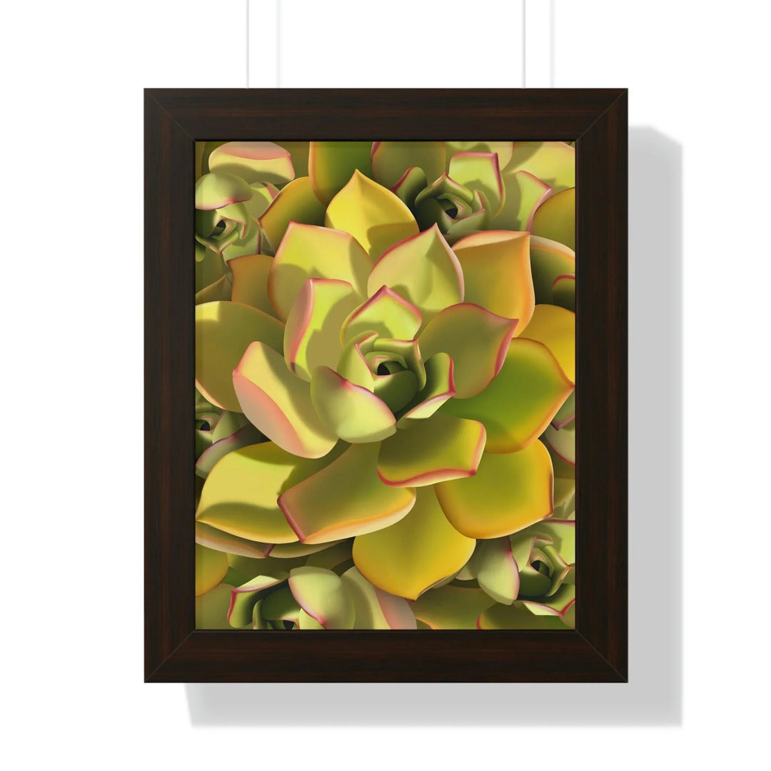 Noble Aeonium Succulent Pattern Framed Print, Poster, Printify, Framed, Home & Living, Indoor, Paper, Posters, Laura Christine Photography & Design, laurachristinedesign.com
