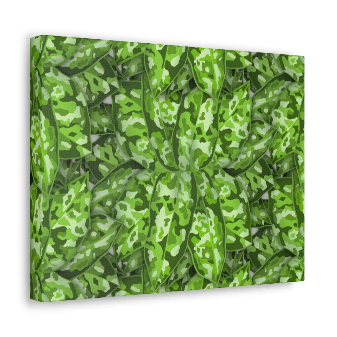 Aglaonema Pictum Canvas - Rare Camouflage Leaf Print Canvas Art Print