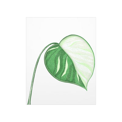 Monstera Albo Print, Poster, Laura Christine Photography & Design, Back to School, Home & Living, Indoor, Matte, Paper, Posters, Valentine's Day promotion, Laura Christine Photography & Design, laurachristinedesign.com