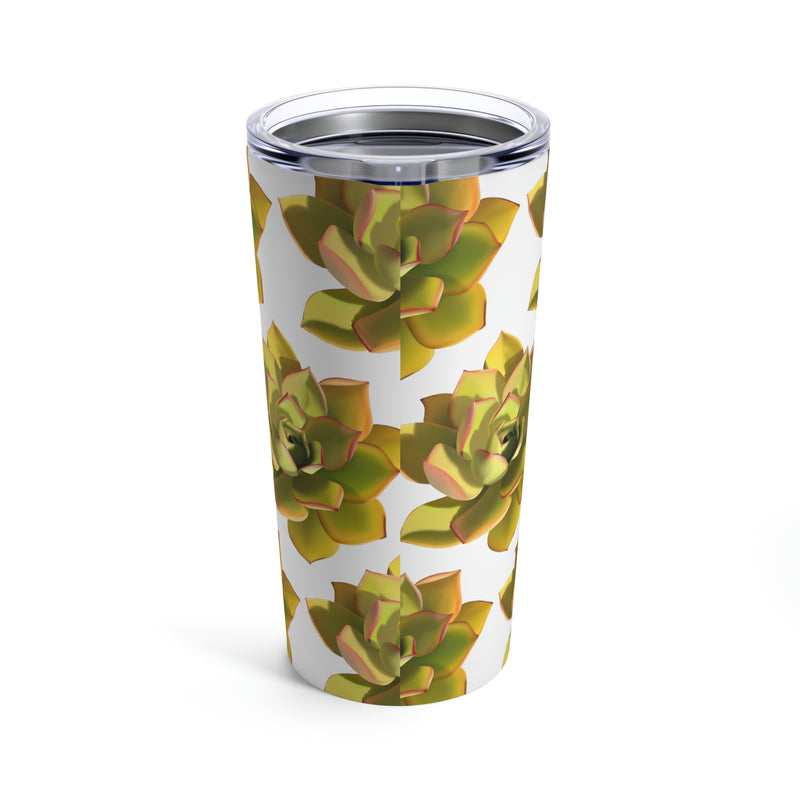 Vaso con diseño de suculentas Noble Aeonium