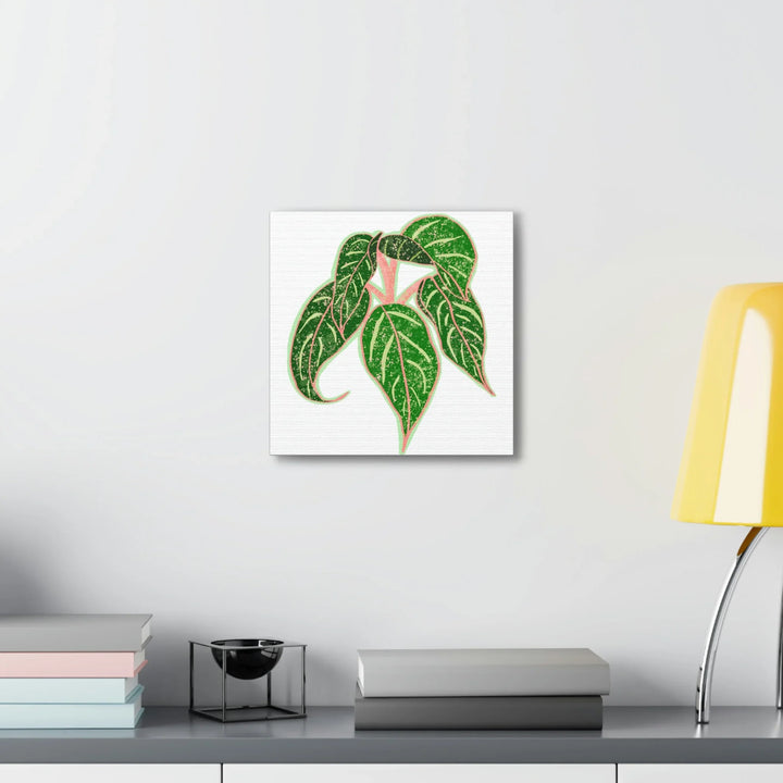 Aglaonema Plant Canvas | Sparkling Plant Artwork - Colorfast Canvas Art Print Decor