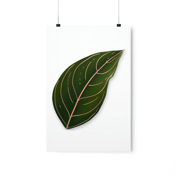 Aglaonema Rotundum Print – Botanical Wall Art on Museum Grade Paper | Unframed